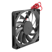 //irrorwxhpqpllj5m.ldycdn.com/cloud/lkBppKlqlnSRrlqkkqimjp/miniature-squirrel-cage-fan3.jpg