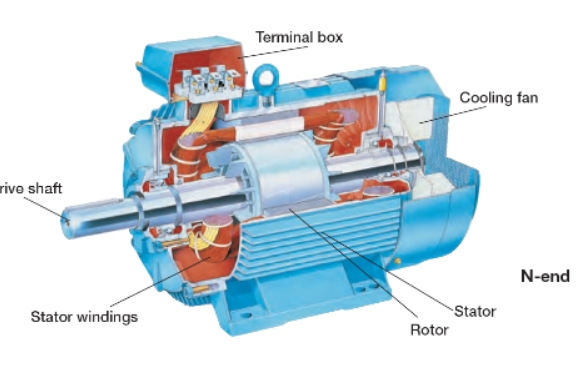 What Are Twin Squirrel Cage Fans Used For?