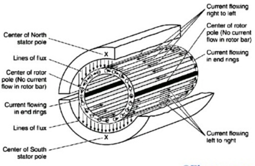 Heavy Duty Twin Squirrel Cage Fan