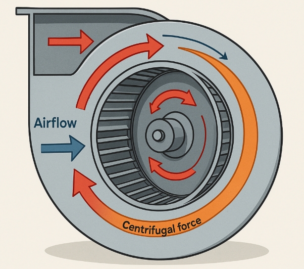 What Is A Squirrel Cage Fan And How Does It Work?